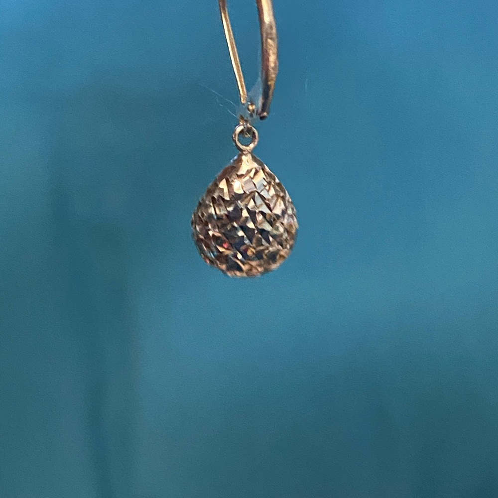 Sterling silver earrings